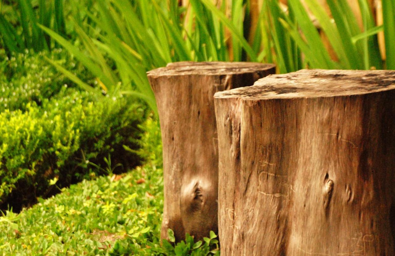 Munduk Clove Ngoại thất bức ảnh